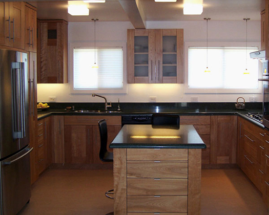 Biase Kitchen Remodel